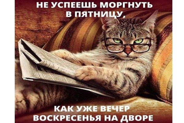 Вечер воскресенья цитаты