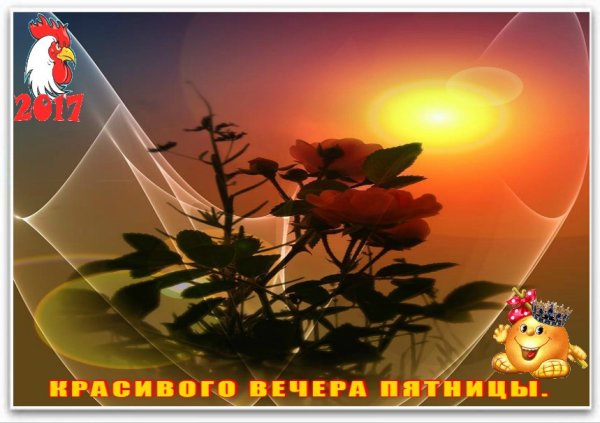 Доброго пятничного вечера и хорошего настроения