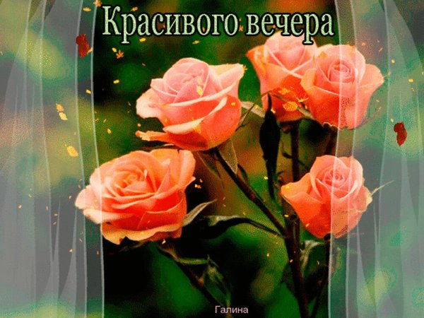 Прекрасного вечера пятницы