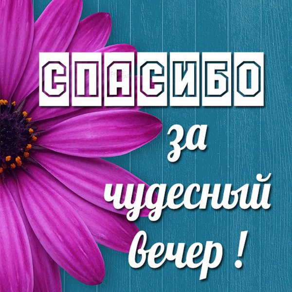 Спасибо за встречу