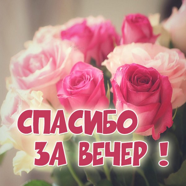 Открытка спасибо за приятный вечер