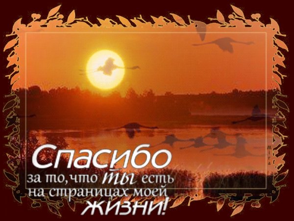 Надпись спасибо за вечер встречи