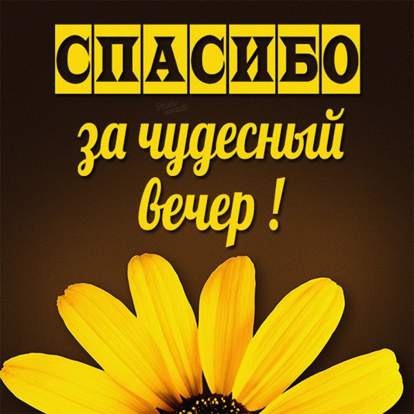 Благодарю за встречу