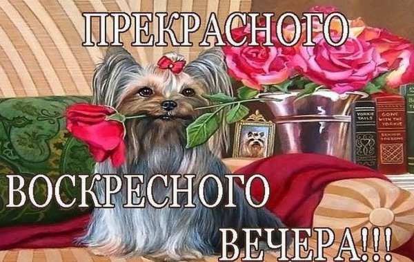 Доброго воскресного вечера