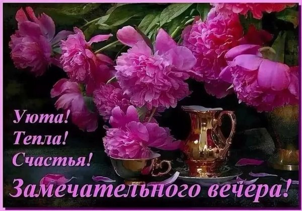 Хорошего воскресного вечера открытки