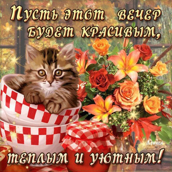 Доброго вечера с Котикамм