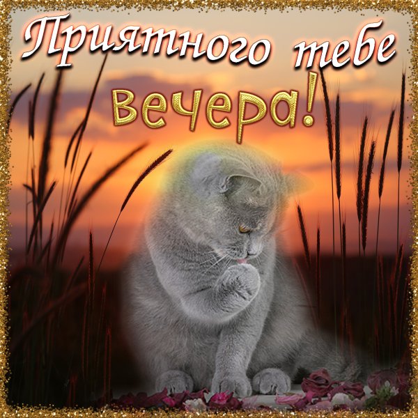 Открытки добрый вечер