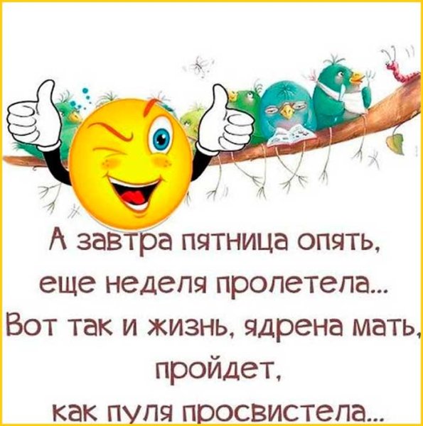 Четверг приколы
