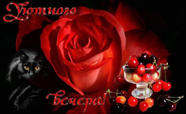 Добрый вечер милая