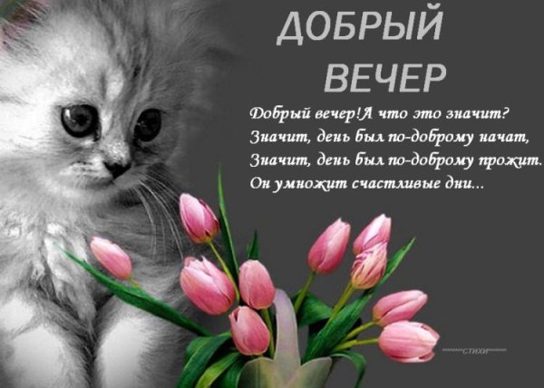 Пожелания доброго вечера женщине