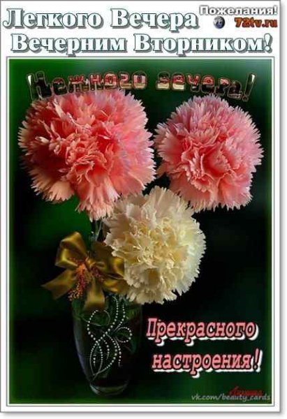 Добрый вечер вторника