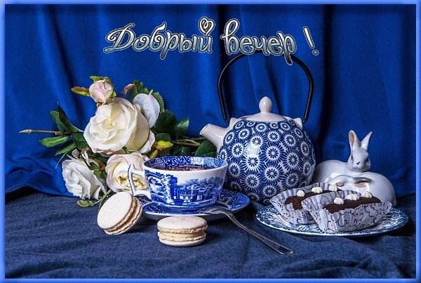 Пожелания доброго вечера с юмором