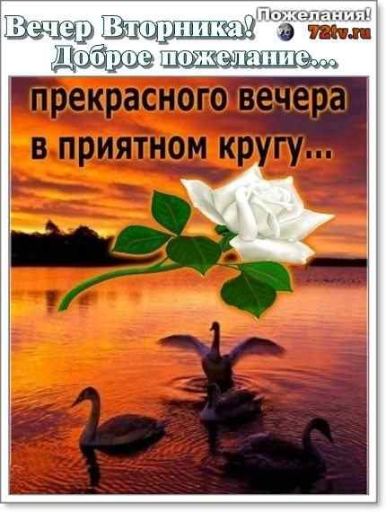 Приятного весеннего вечера и отличного настроения