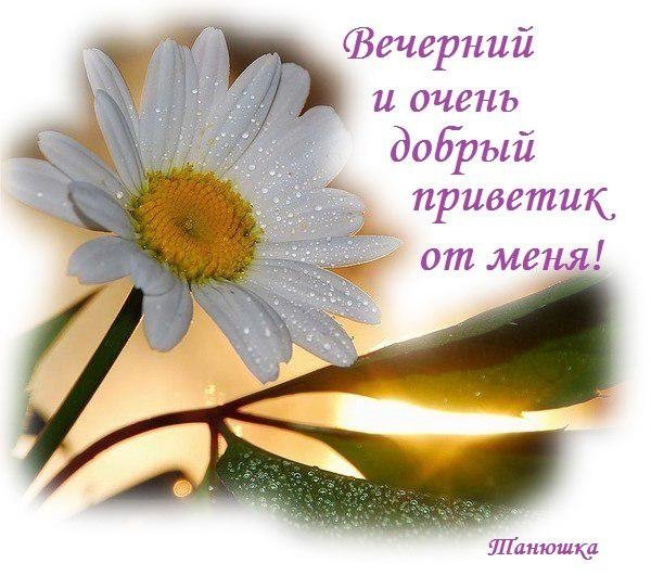Добрый вечер понедельника