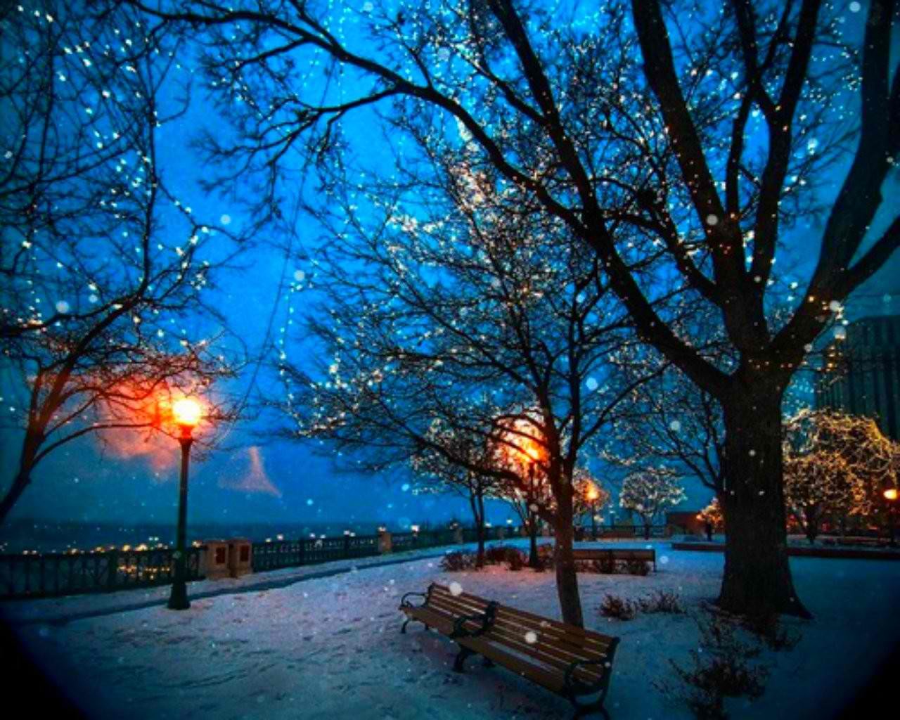Город снег вечер. Зима в городе. Зимний парк ночью. Зимняя ночь в городе. Зима. К вечеру.