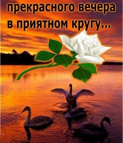 Хорошего вам вечера