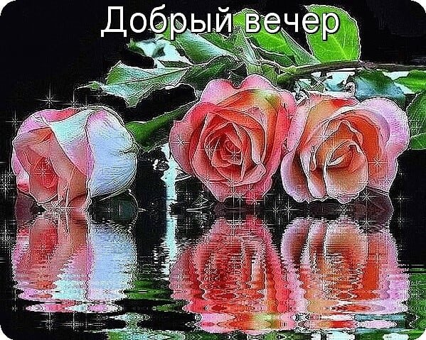 Добрый вечер Танечка