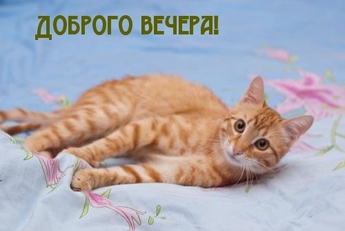 Открытки добрый вечер