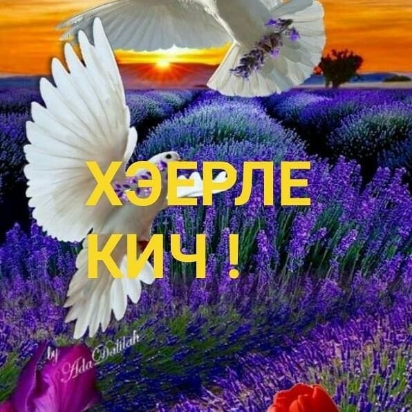 Добрый вечер на татарском языке