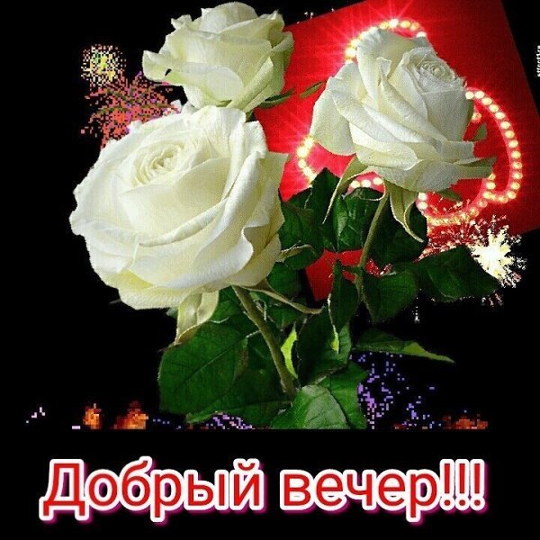 Добрый вечер Надя