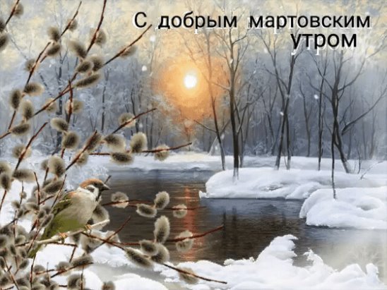 Заря зимой береза