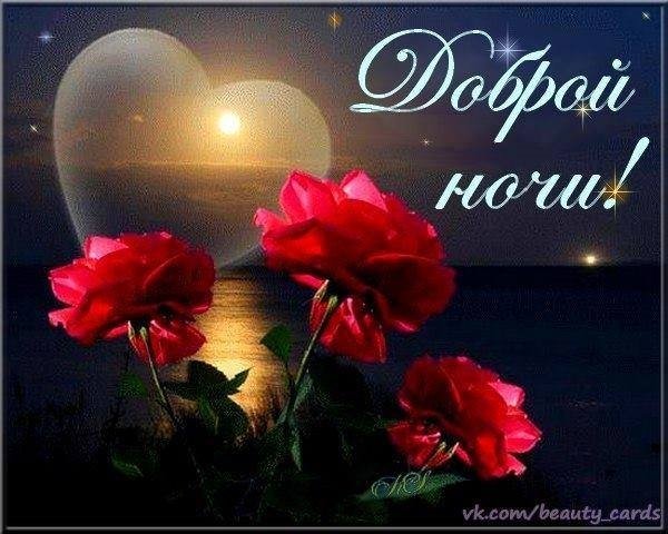 Цветы с пожеланием спокойной ночи