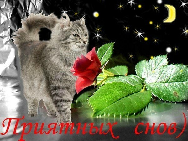 Открытка добрый вечер Марина