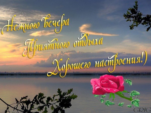 Хорошего летнего вечера и отличного настроения