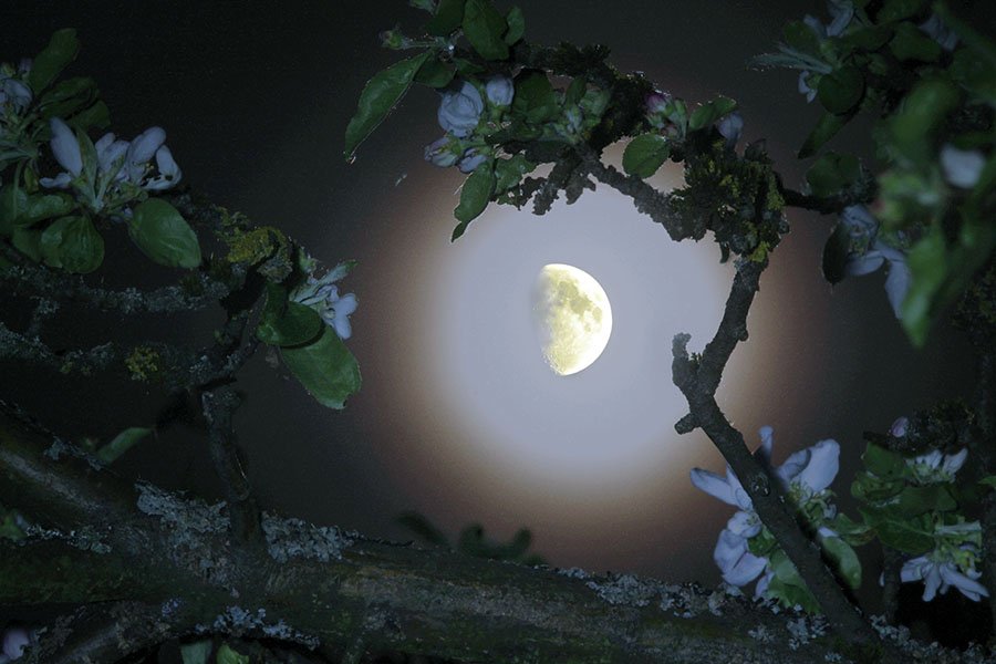 Озаренный светом луны. Лунная ночь. Полнолуние. Ночь Луна. Ночная Луна.
