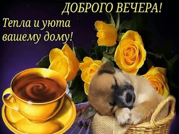 С вечерним четвергом открытки