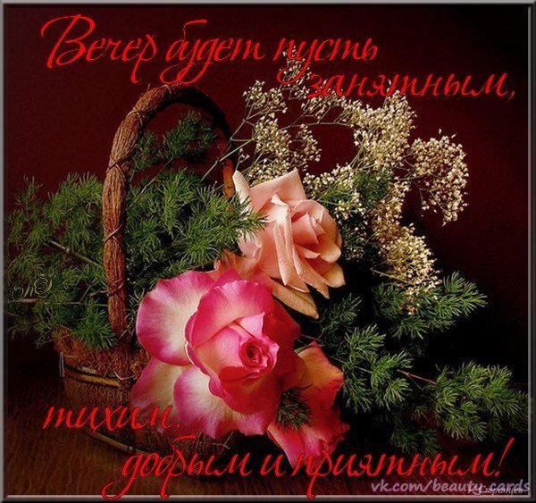 Чудесного вечера красивые девушки