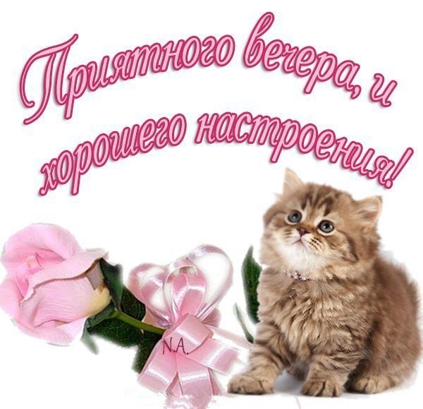 Добрый вечер Олечка