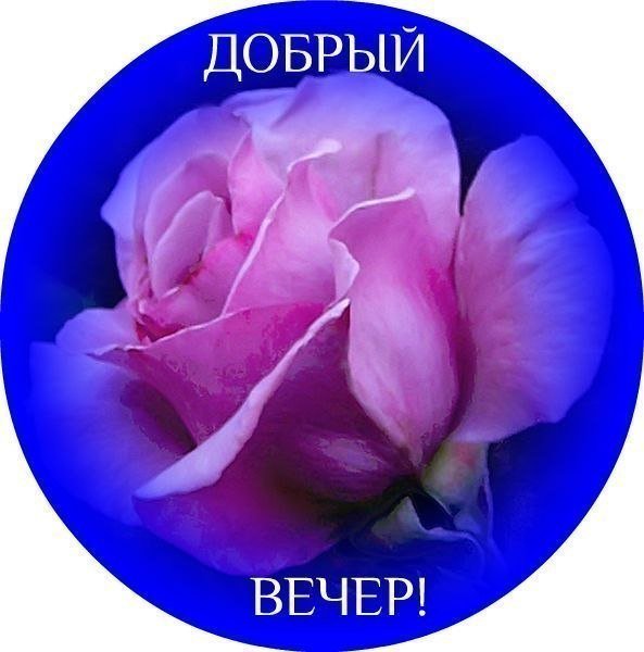 Добрый вечер дорогие друзья