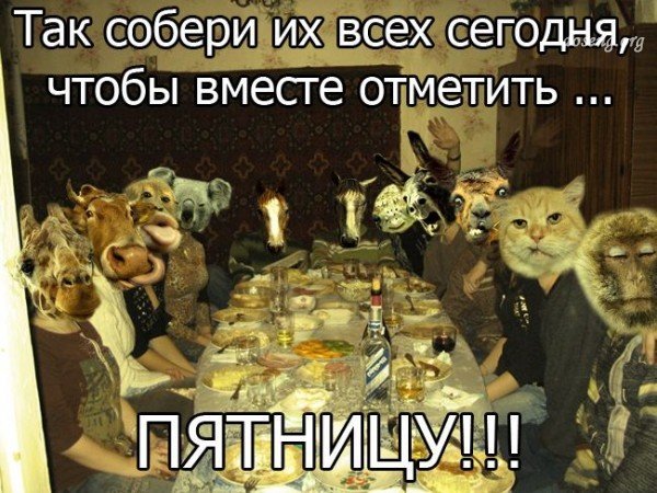 Планы на вечер пятницы прикольные