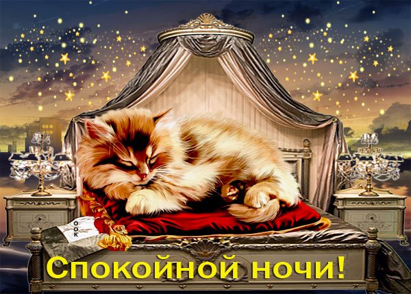 Спокойной ночи с кошками