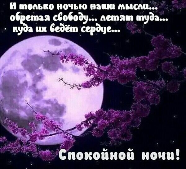 Спокойной ночи цитаты