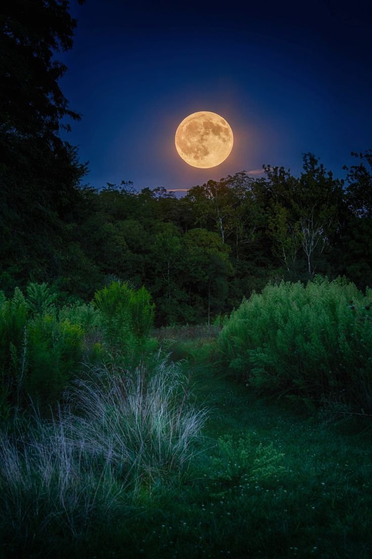 Луна картинки красивые фото