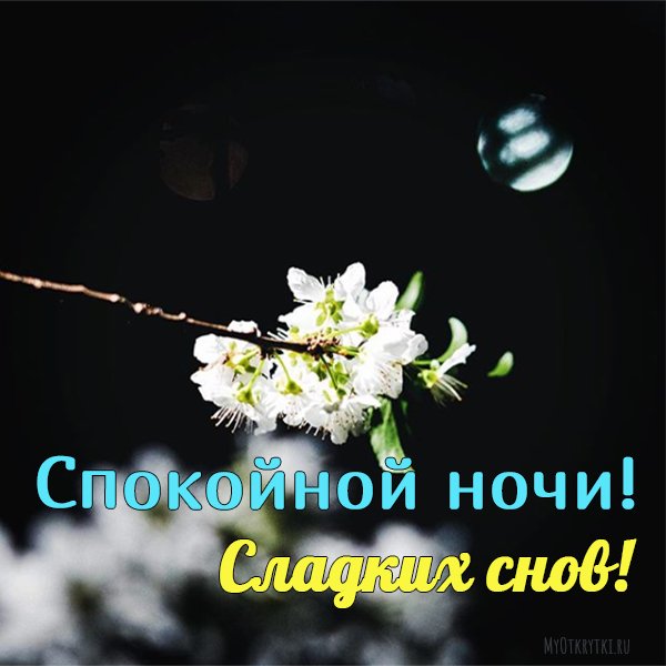 Спокойной ночи Весна