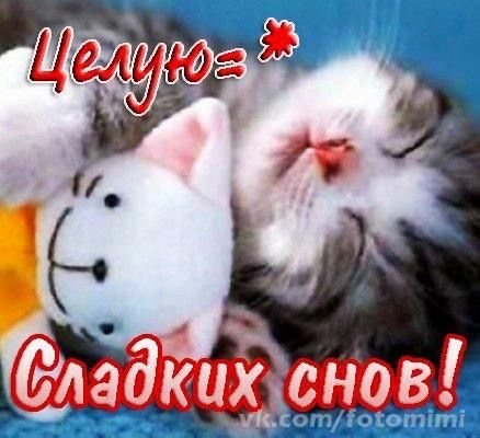 Сладких снов целую