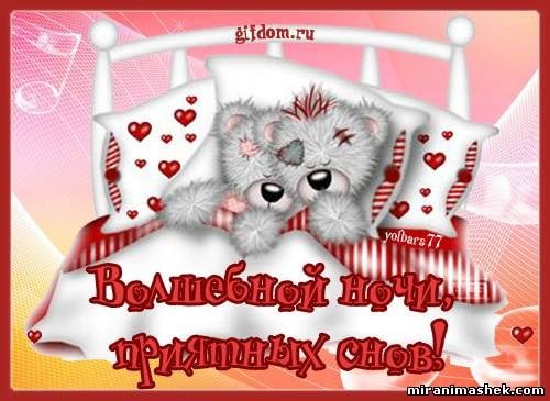 Спокойной ночи сладких снов обнимаю