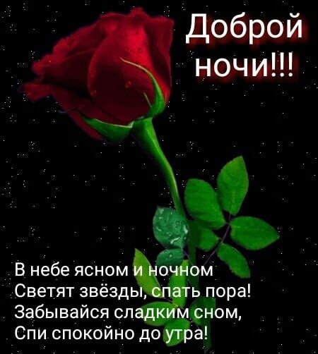 Доброй ночи храни вас Господь
