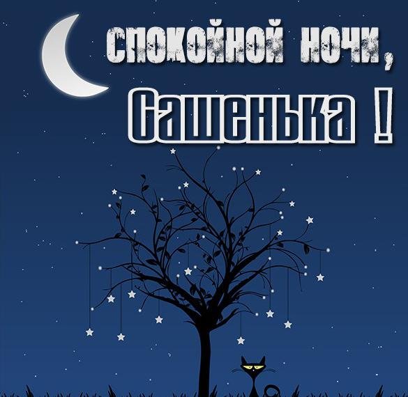 Спокойной ночи Саша
