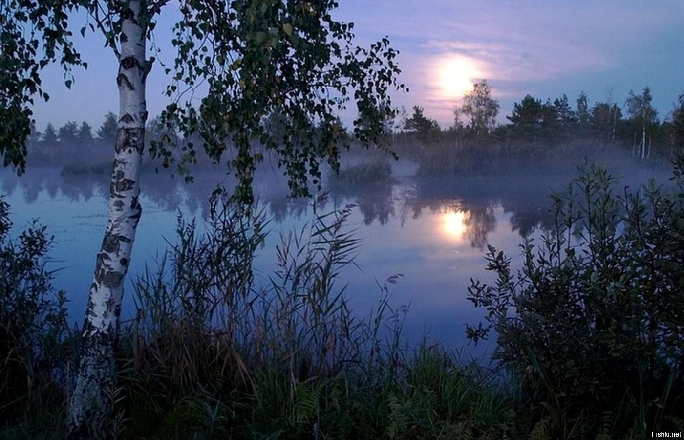 Вечером вокруг моей стоянки пели. Тихого летнего вечера. Добрый вечер природа. Спокойной летней ночи. Природа России ночью.
