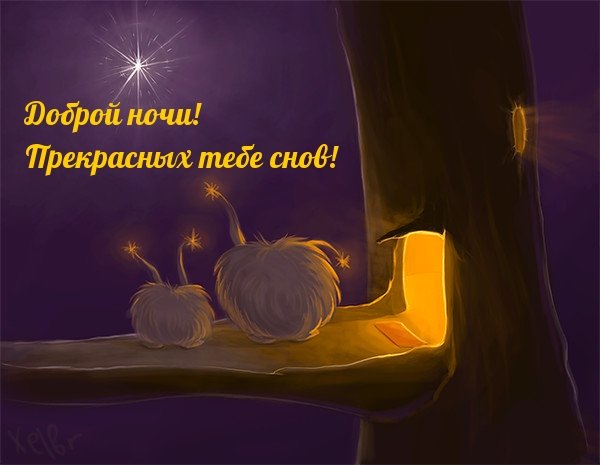 Добрых снов мужчине на расстоянии