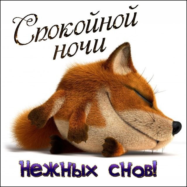 Доброй ночи лисичка картинки