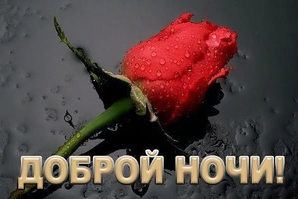 Букет роз спокойной ночи