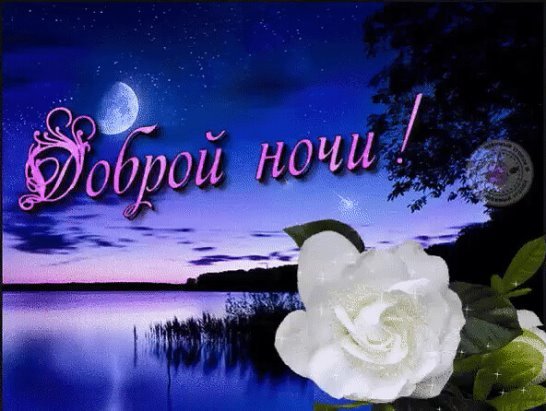 Спокойной ночи сестреночка
