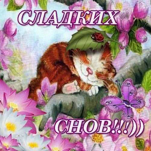 Спокойной ночи доченька