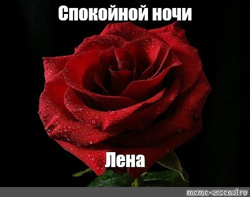 Доброй ночи Елена