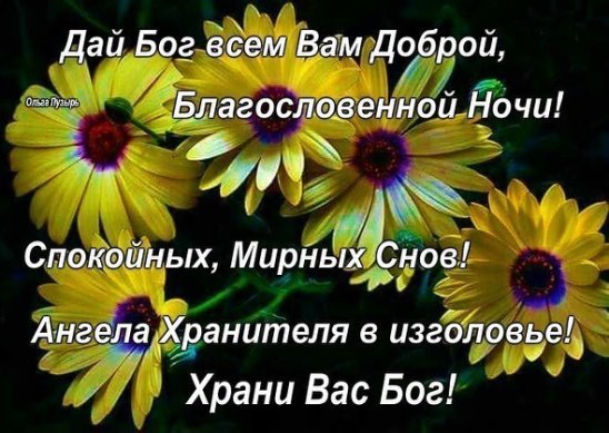 Жлбоой и блашословенной ночи